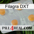 Filagra DXT 24